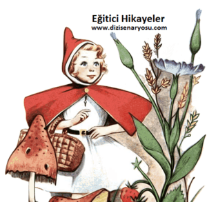 Eğitici Hikayeler