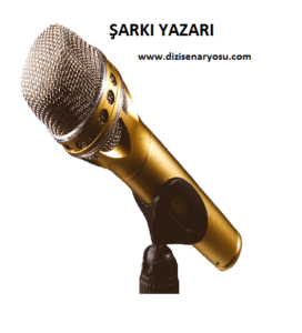 Şarkı Yazarı
