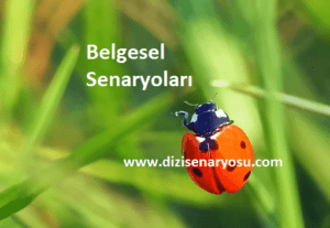 Belgesel Senaryoları