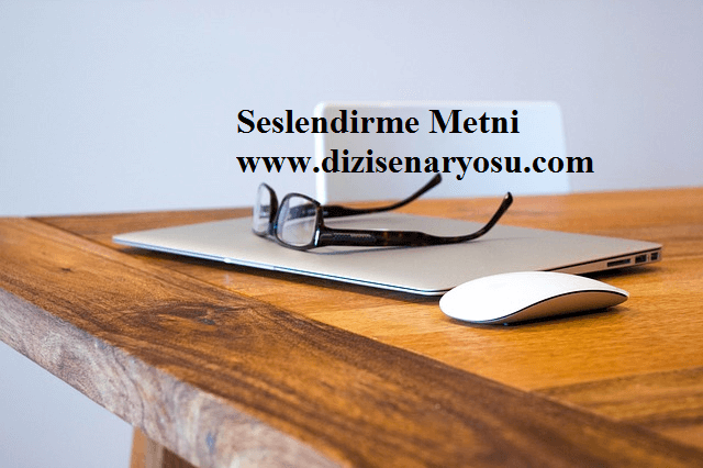 Seslendirme Metni