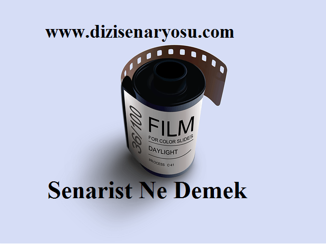 Senarist Ne Demek