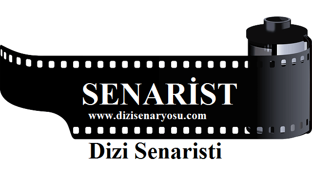 Dizi Senaryo Yazarı