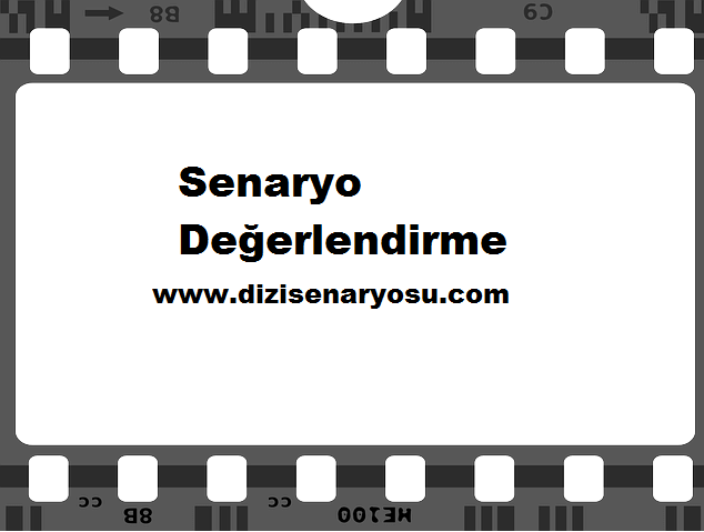 Senaryo Düzenlemesi