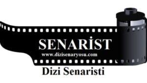 dizi senaristi