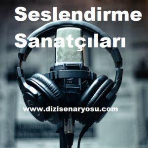 seslendirme sanatçısı